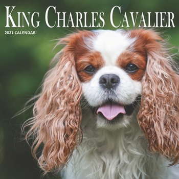 Paperback King Charles Cavalier: 2021 Calendar Book