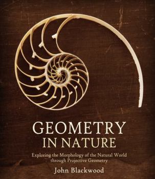 Paperback Geometry in Nature: Exploring the Morphology of the Natural World Through Projective Geometry Book