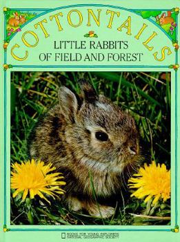 Hardcover Cottontails: Little Rabbits of Field and Forest Book