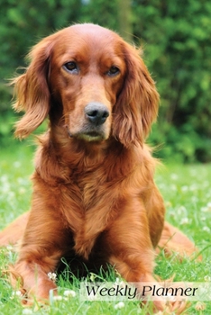 Weekly Planner: Irish Setter Dog Daily Planner Schedule Organizer Agenda 52 weeks 6x9
