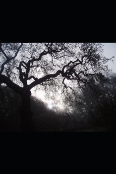 Paperback Bigfoot Sasquatch Files Volume 16 Book