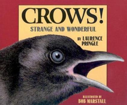 Hardcover Crows!: Strange and Wonderful Book