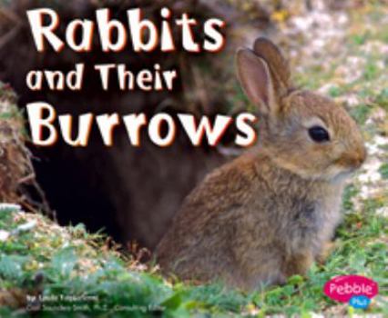 Paperback Rabbits and Their Burrows (Animal Homes) Book