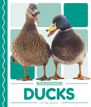 Ducks - Book  of the Pond Animals