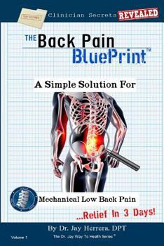 Paperback The Back Pain BluePrint: A Simple Solution For Mechanical Low Back Pain Book