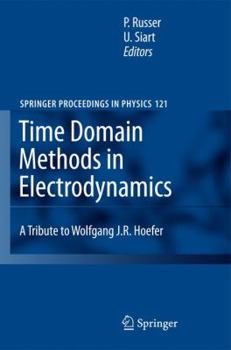 Paperback Time Domain Methods in Electrodynamics: A Tribute to Wolfgang J. R. Hoefer Book