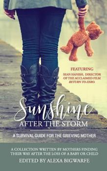 Paperback Sunshine After the Storm: A Survival Guide for the Grieving Mother Book