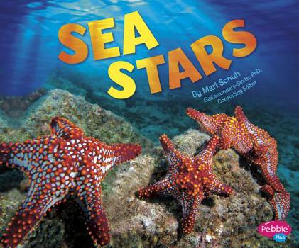 Hardcover Sea Stars Book