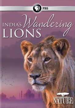 DVD Nature: India's Wandering Lions Book