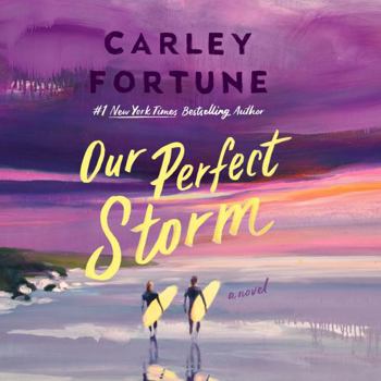 Digital Audiobook Our Perfect Storm Book