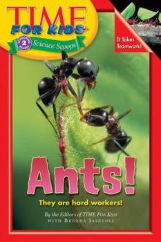 Time For Kids: Ants! (Time For Kids) - Book  of the Time for Kids Science Scoops