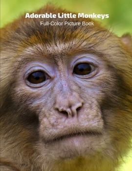 Paperback Adorable Little Monkeys Full-Color Picture Book: Animals Photography Book