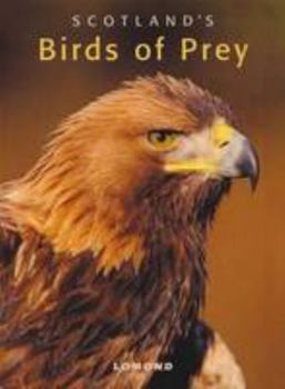 Paperback Scotland's Birds of Prey Book