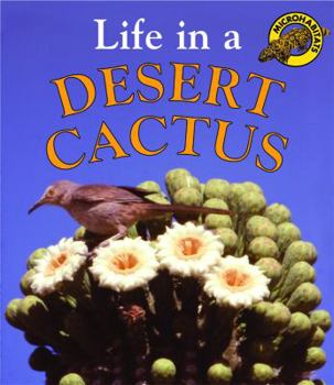 Paperback Life in a Desert Cactus Book