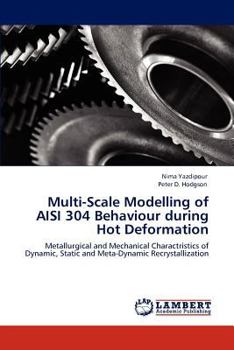 Paperback Multi-Scale Modelling of AISI 304 Behaviour during Hot Deformation Book