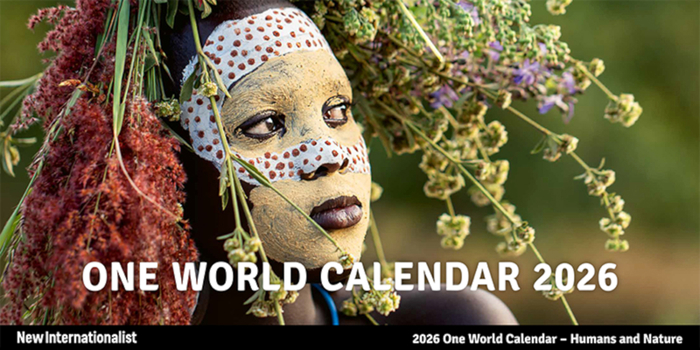 Calendar One World Calendar 2026 Book