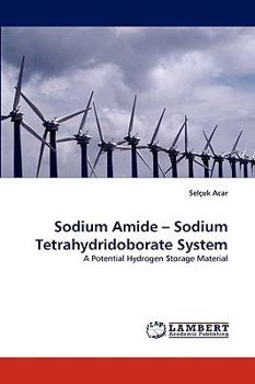 Paperback Sodium Amide - Sodium Tetrahydridoborate System Book