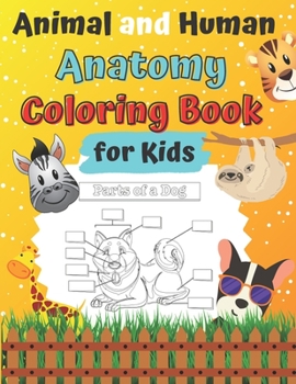 Paperback Animal and Human Anatomy Coloring Book for Kids: Ages 4-8 8-12 Veterinary Anatomy colouring Book: Animal Anatomy and Veterinary Physiology Vet Tech Hu Book