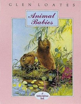 Paperback Animal Babies Book