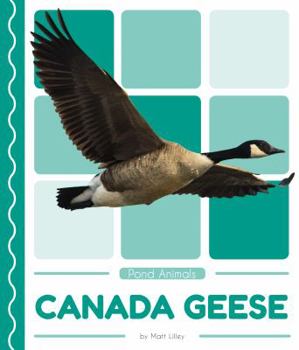 Library Binding Canada Geese Book