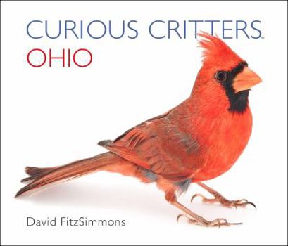 Board book Curious Critters Ohio Book