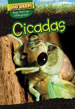 Library Binding Cicadas Book