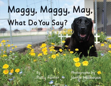 Paperback Maggy, Maggy, May, What Do You Say? Book