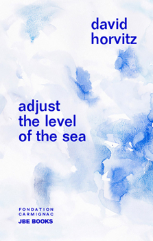 Paperback David Horvitz: Adjust the Level of the Sea Book