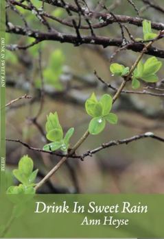 Perfect Paperback Drink In Sweet Rain Book