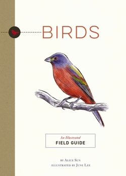Paperback Birds: An Illustrated Field Guide Book