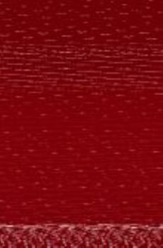 Paperback Our Time in the Sun Book