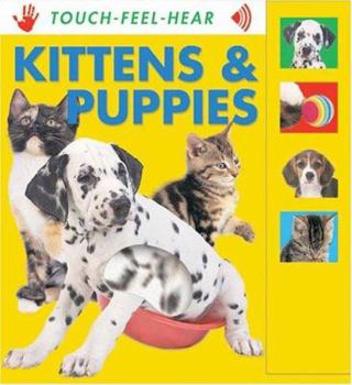 Hardcover Kittens & Puppies Book
