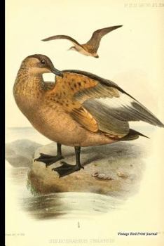 Vintage Bird Print Journal: Chilean Skua, 6" x 9" Vintage Bird Decor Print Journal - [Lined Journal]
