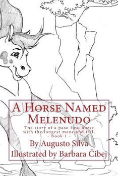Un Caballo Llamado Melenudo