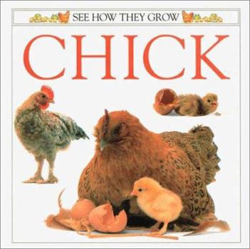 Paperback Chick Book