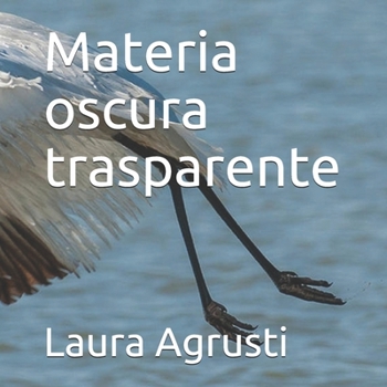 Materia oscura trasparente (Italian Edition)
