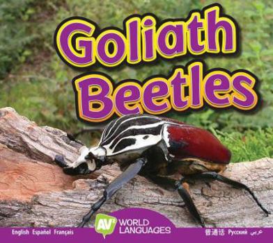 Goliath Beetle - Book  of the Fascinating Insects