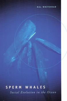 Paperback Sperm Whales: Social Evolution in the Ocean Book