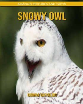 Paperback Snowy Owl: Amazing Pictures and Facts Book