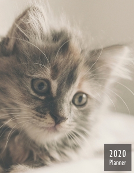 2020 PLANNER Kitten: Gifts For Cat Lovers Monthly Weekly Daily and Hourly Planners 2020 Calendar from Jan 1 2020 to Dec 2020  Note Pages To-Do List ... Themed Gifts Cover for Cat Lovers Version 5