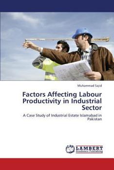 Paperback Factors Affecting Labour Productivity in Industrial Sector Book