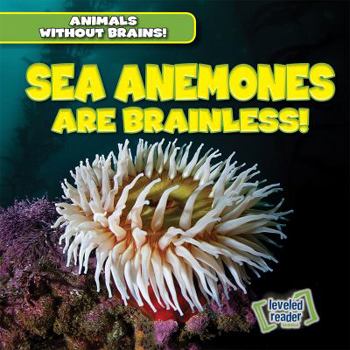 Library Binding Sea Anemones Are Brainless! Book