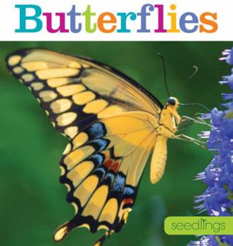 Paperback Seedlings: Butterflies Book