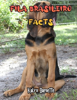 Fila Brasileiro Facts: FILA BRASILEIRO fact for girl age 1-10 FILA BRASILEIRO fact for boy age 1-10 facts about all about FILA BRASILEIRO