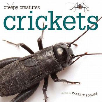 Crickets (Creepy Creatures) - Book  of the Creepy Creatures