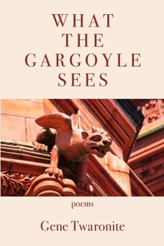 Paperback What the Gargoyle Sees Book
