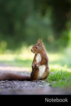 Notebook: Squirrel,  Nature,  Cute,  Wild Notebook / Journal / Diary / Composition book - 6 x 9 inches (15,24 x 22,86 cm), 150 pages, glossy finish.
