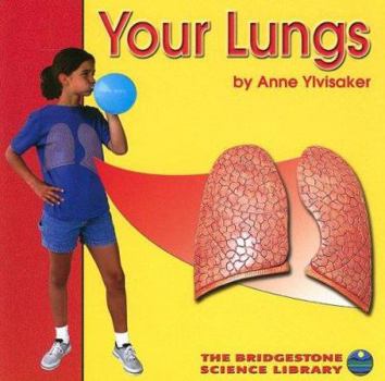 Paperback Your Lungs (Bridgestone Science Library) Book