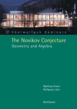 Paperback The Novikov Conjecture: Geometry and Algebra Book