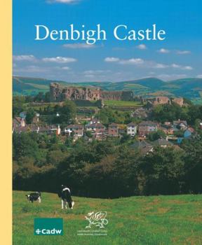 Denbigh Castle - Book  of the CADW Guidebooks